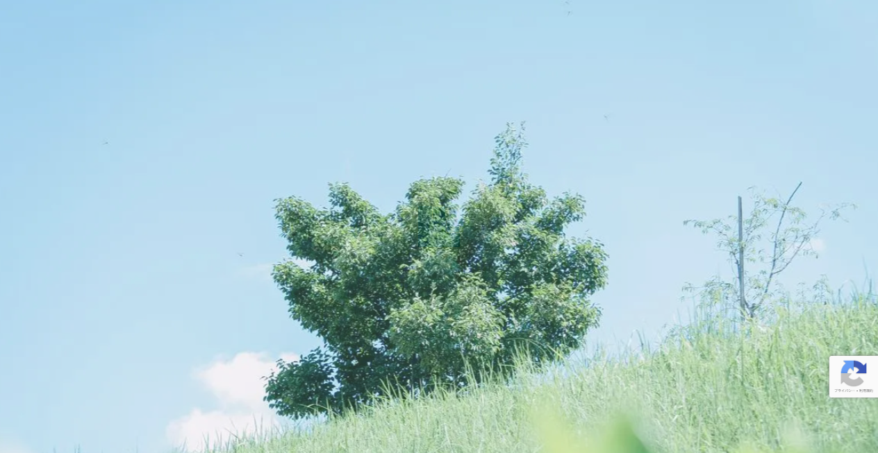 ミユキコーポレーション株式会社の公式サイトスクリーンショット