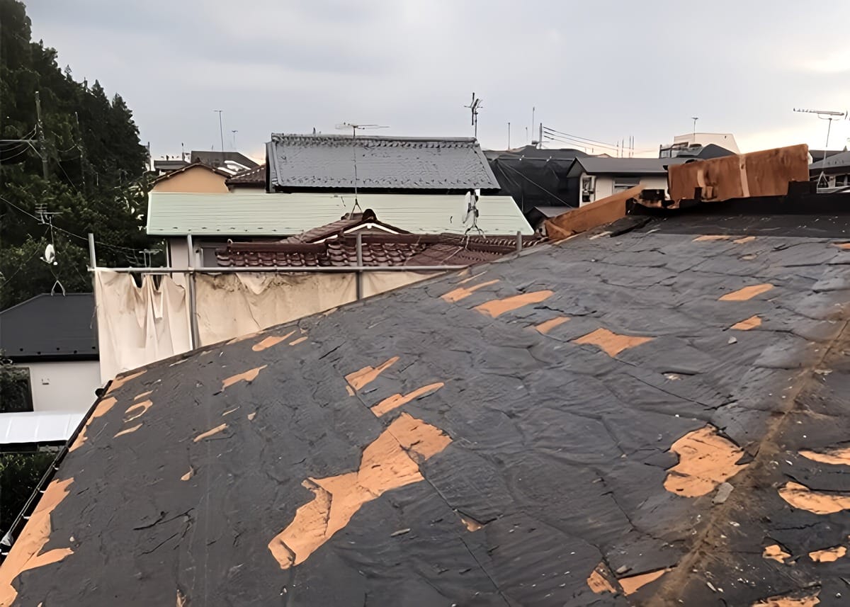 有害物質を含んだ屋根